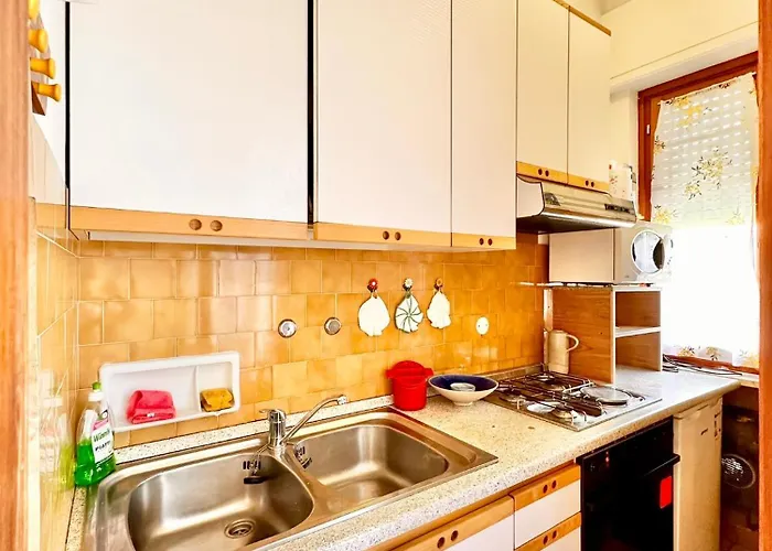 Out Finish Blue Wave Loano